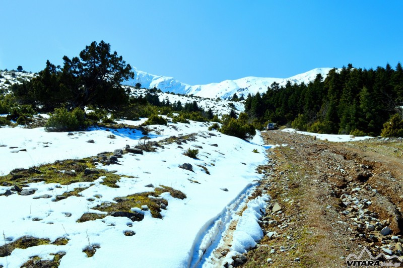 ΔΧ Λιβαδάκι 21-22.03.2015 20.JPG