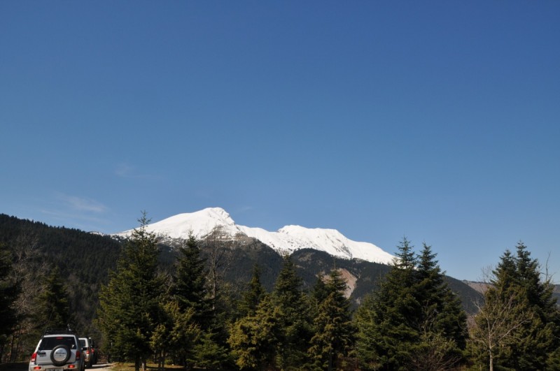 DSC_0270.jpg