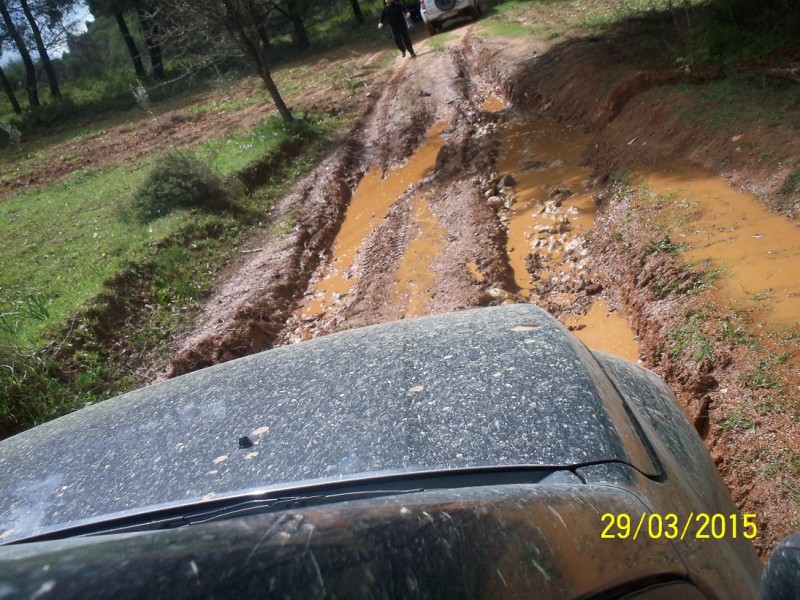 100_6072.JPG