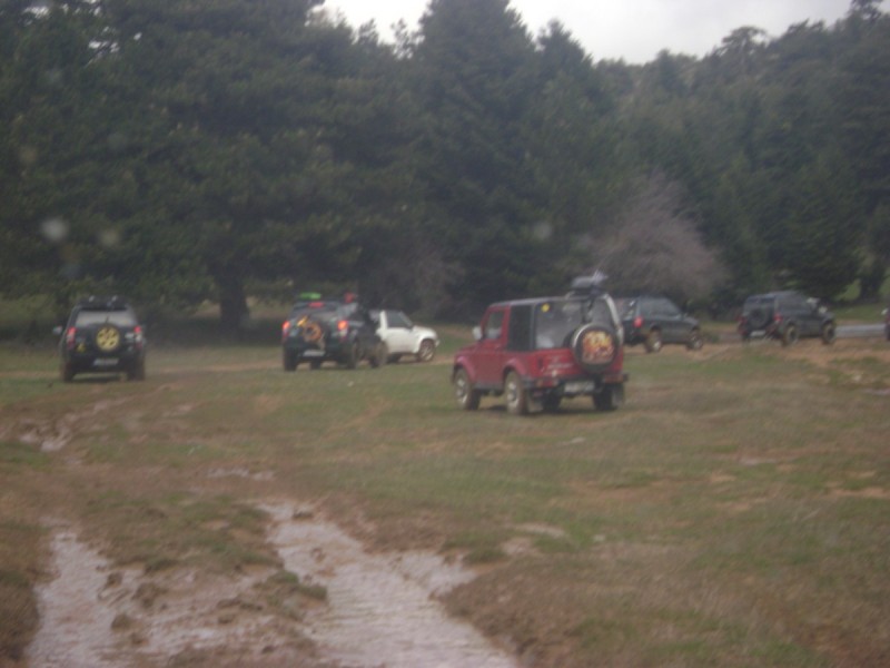 DSC02682.jpg