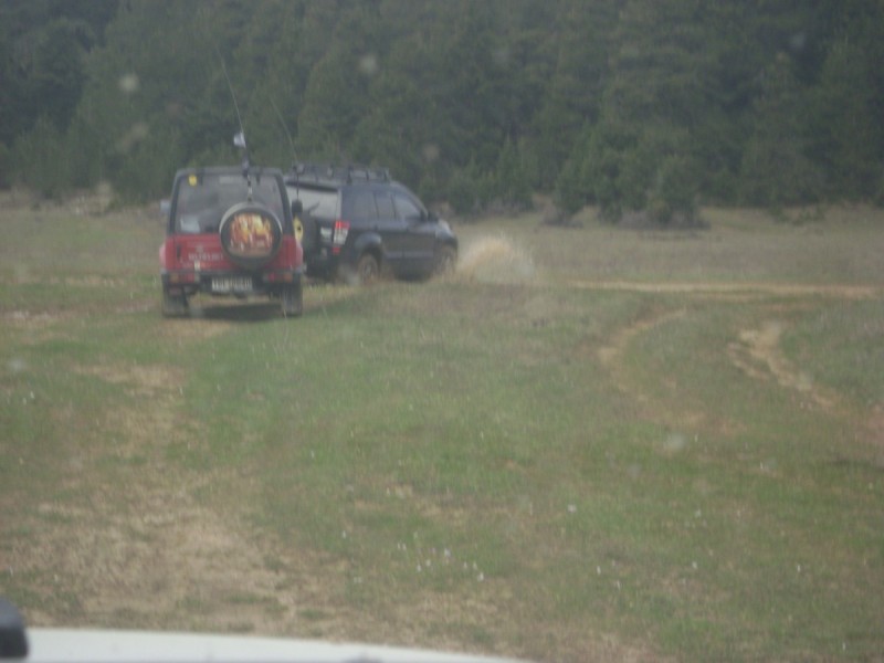 DSC02678.jpg