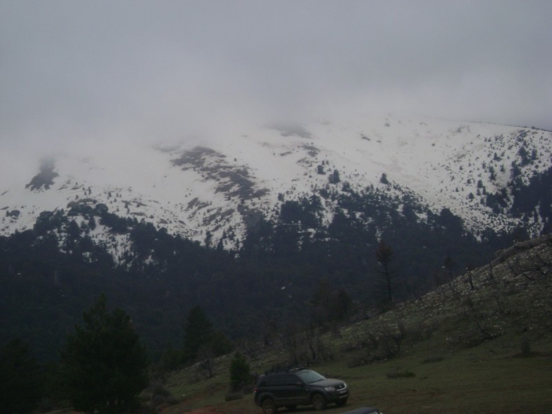 DSC02704.jpg