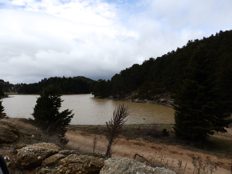 P4054097.jpg