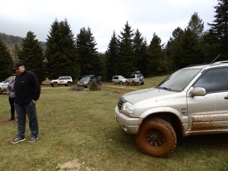 P4054166.jpg