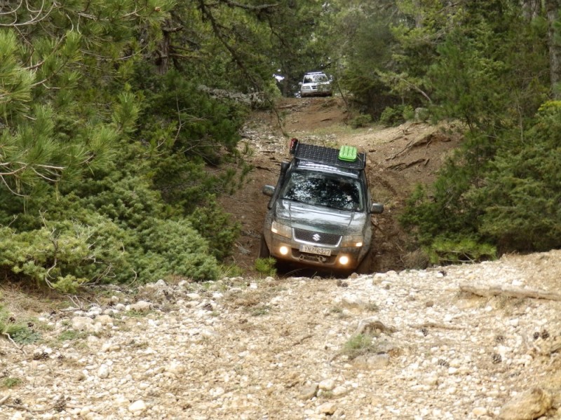 P4054184.jpg