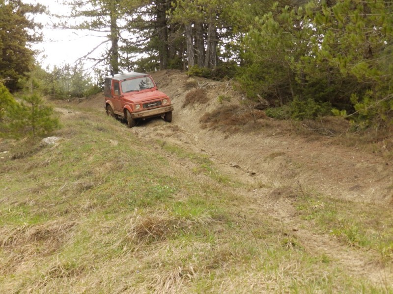 P4054244.jpg