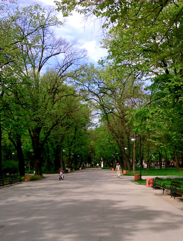 DSC_08.JPG