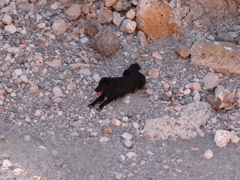 DSC01138.JPG
