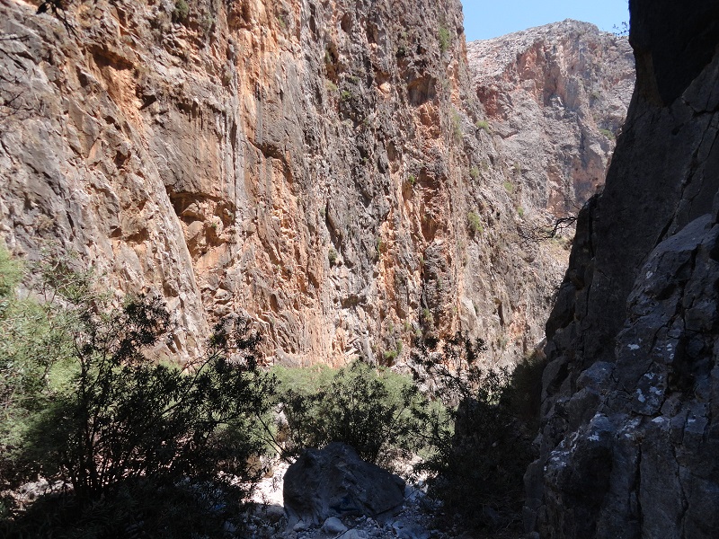 DSC01148.JPG