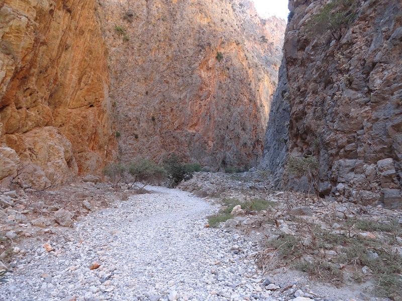DSC01163.JPG