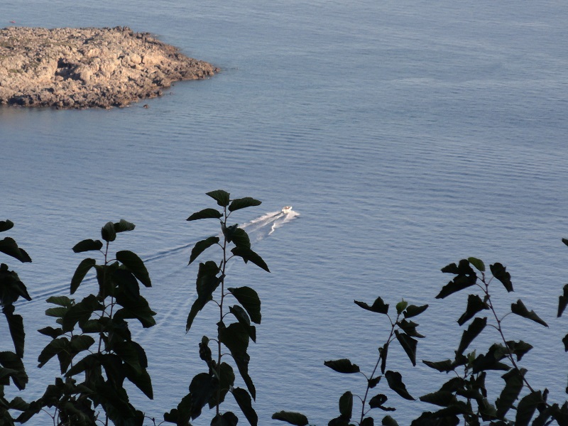 DSC01195.JPG