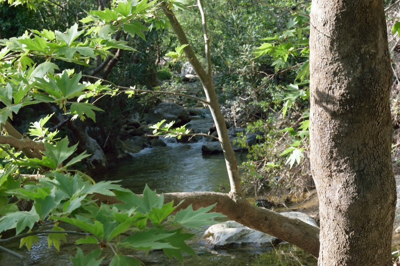 DSC_0041.JPG