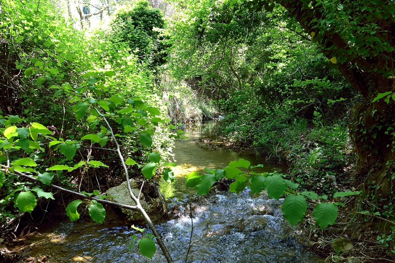 DSC_1146.JPG