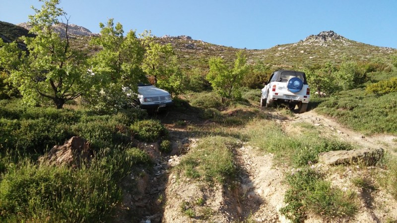 20150517_182017.jpg