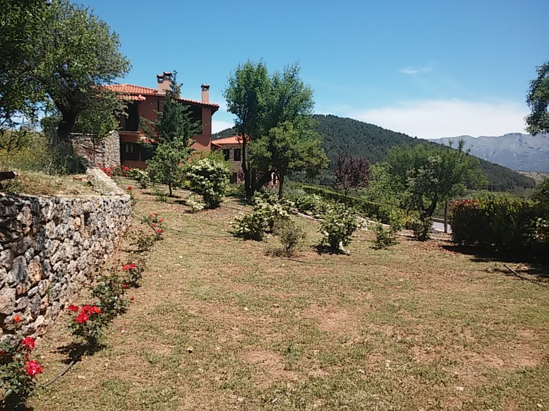 20150524_125642.jpg