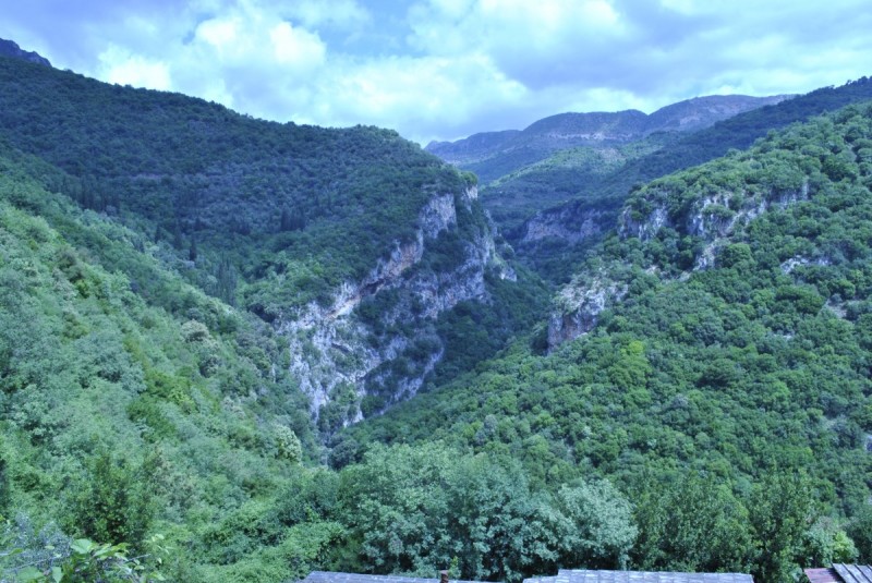 _DSC8505.jpg