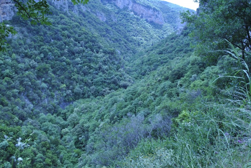 _DSC8528.jpg