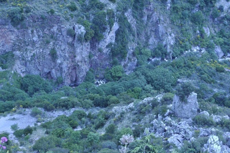 _DSC8573.jpg