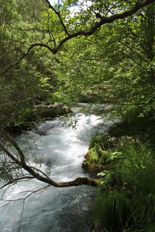 _DSC8615.jpg