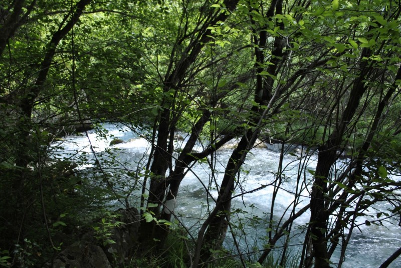 _DSC8626.jpg