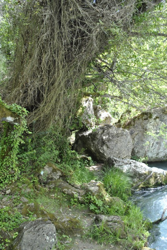 _DSC8627.jpg