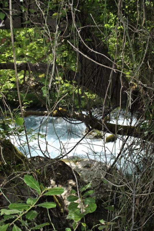 _DSC8634.jpg