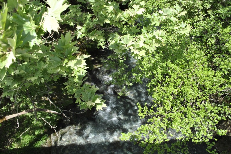 _DSC8645.jpg