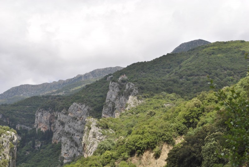 _DSC8646.jpg