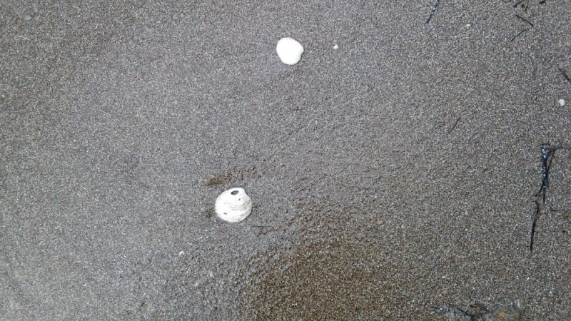 20150626_183220.jpg