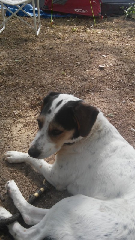 20150627_170856.jpg