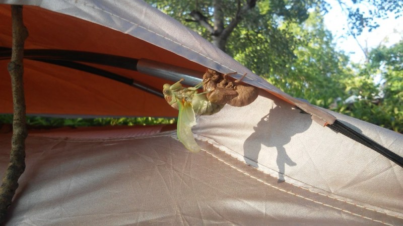 20150627_191225.jpg