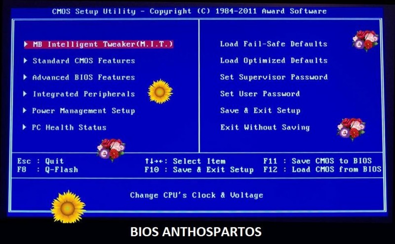 bios.jpg
