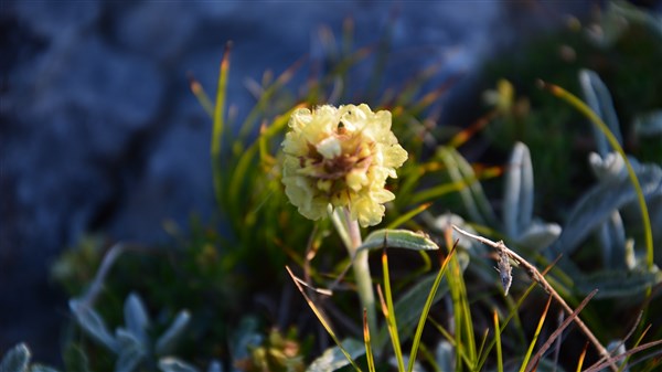 DSC_0734 (600 x 337).jpg