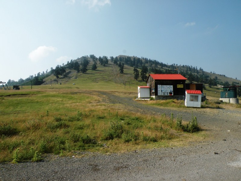 DSCN9863v.jpg