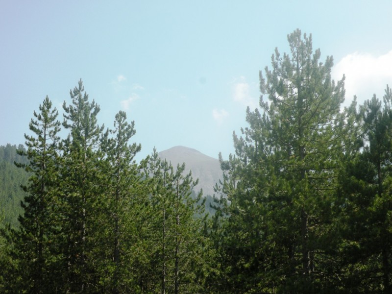 DSCN9880v.jpg
