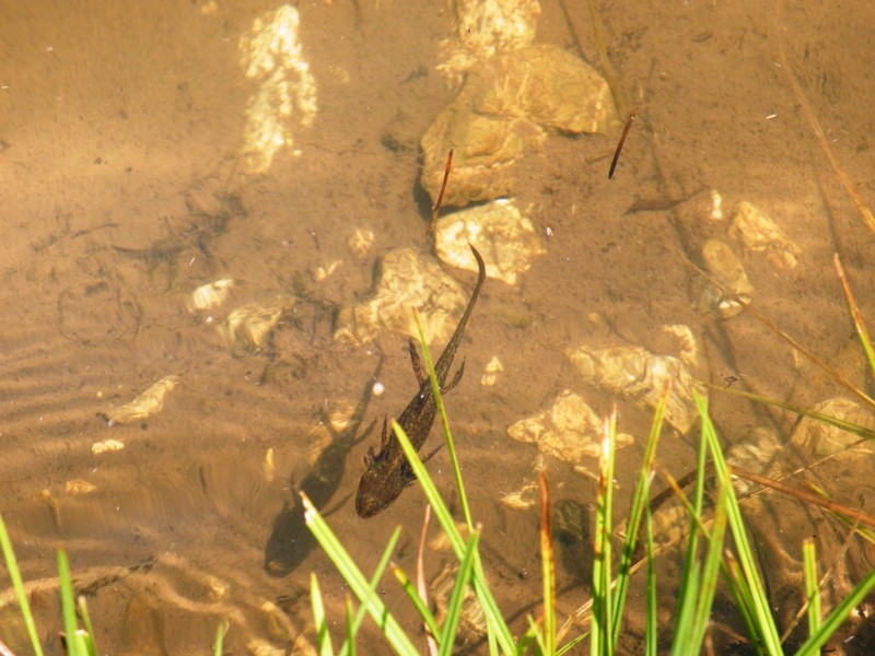 DSCN9899.JPG