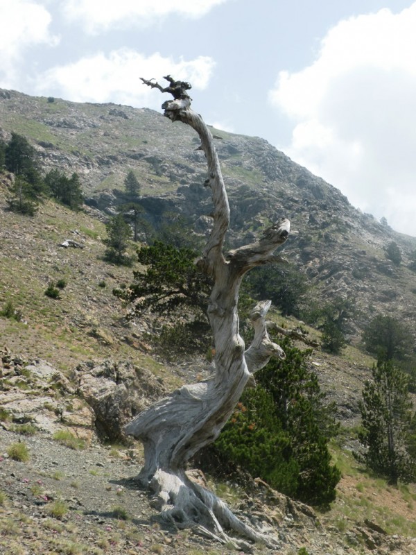 DSCN9912.JPG