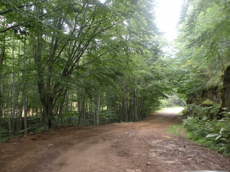 DSCN9870.JPG
