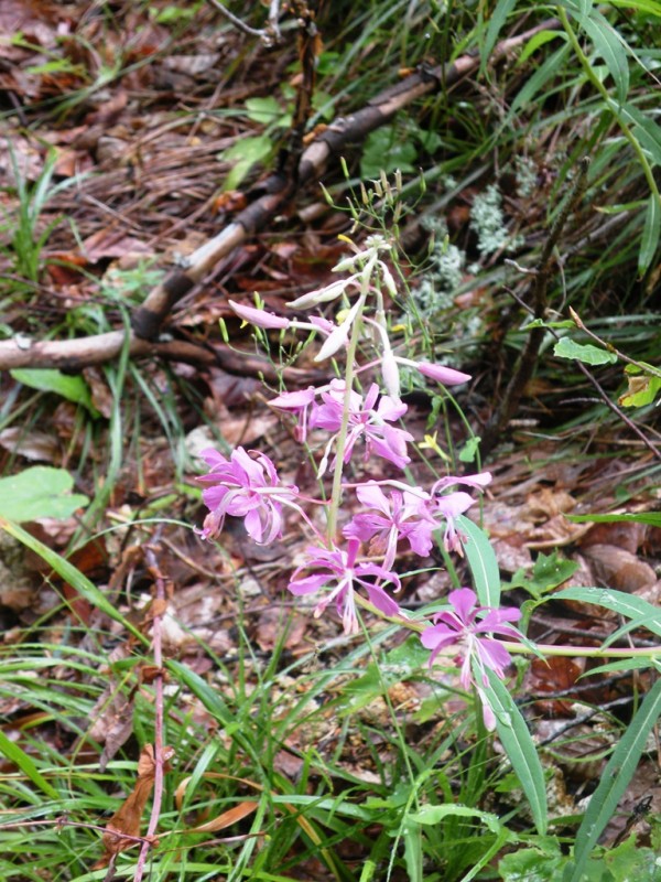 DSCN9878.JPG