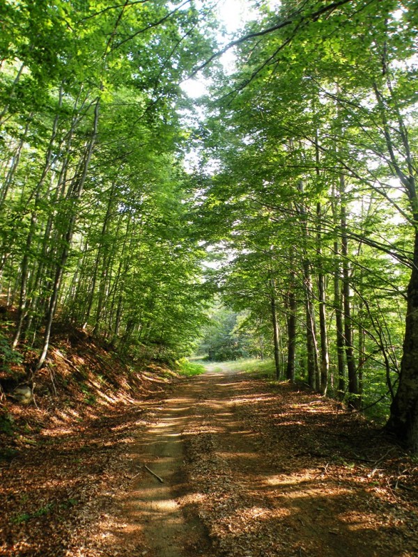 DSCN9879.JPG