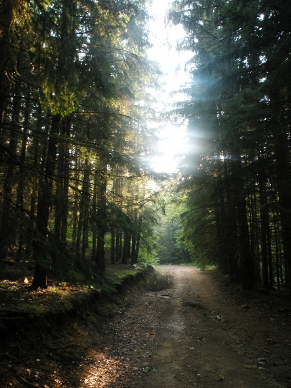 DSCN9886.JPG