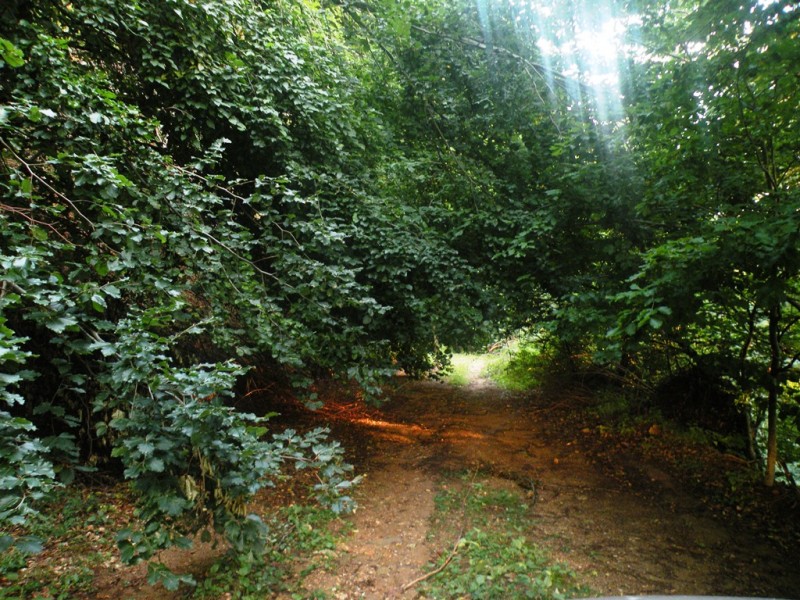 DSCN9891.JPG
