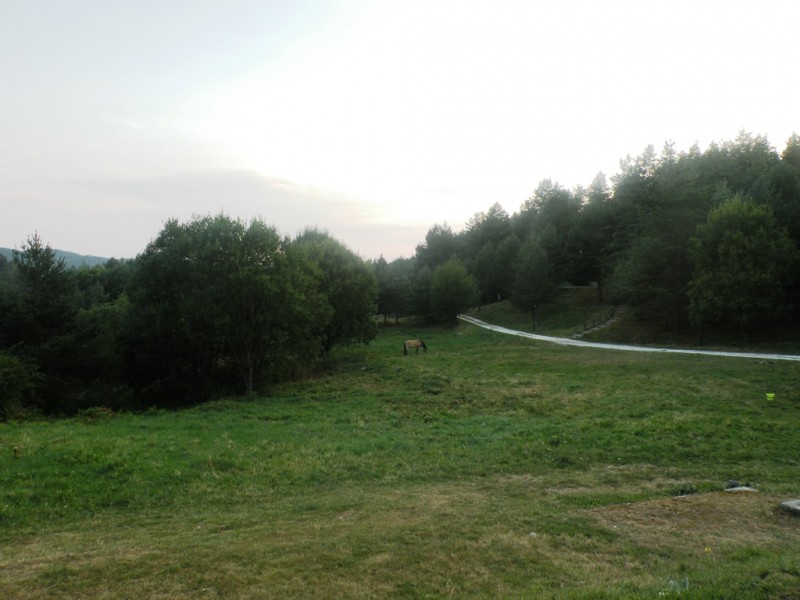 DSCN9898.JPG