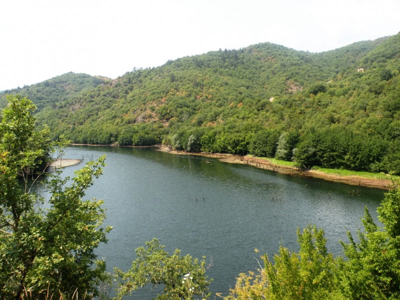DSCN9903.JPG