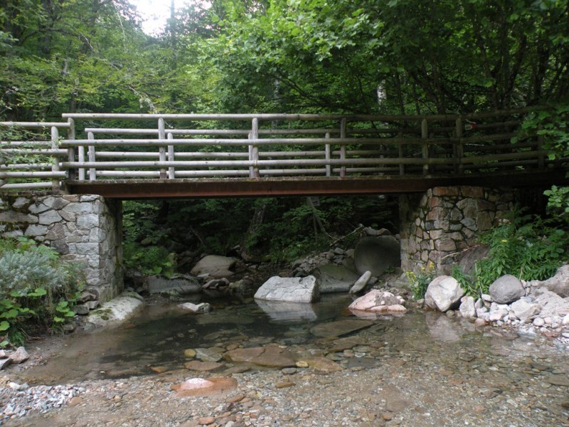 DSCN9910.JPG