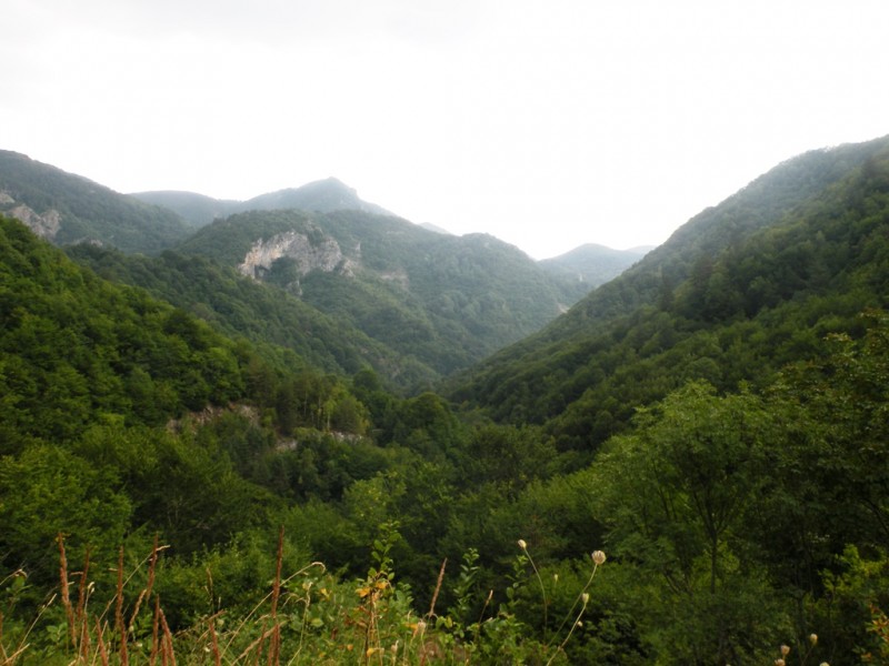 DSCN9912.JPG