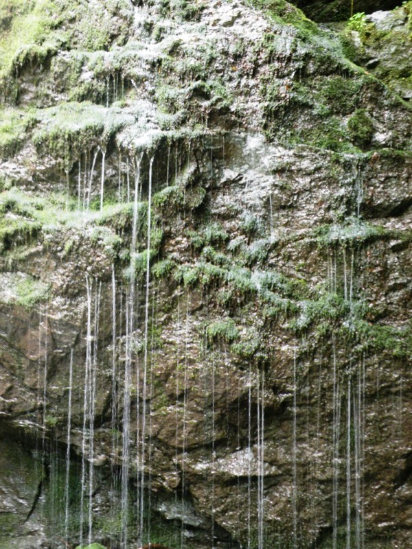 DSCN9924.JPG