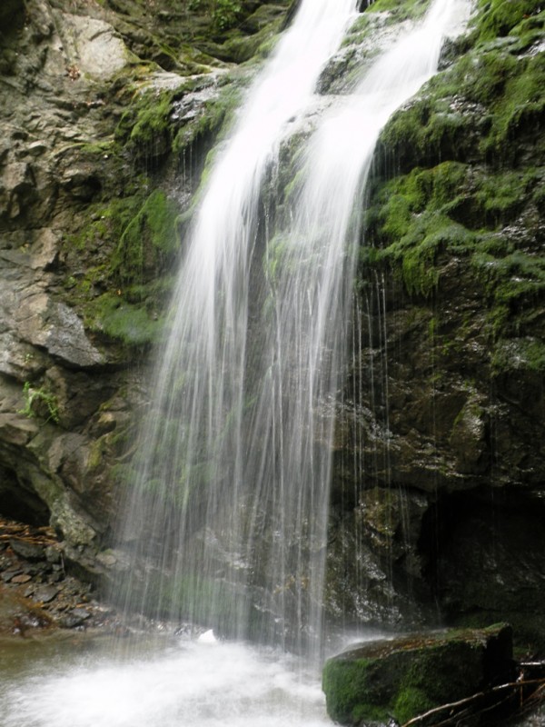 DSCN9925.JPG