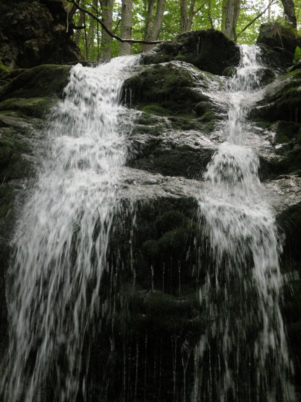 DSCN9933.JPG