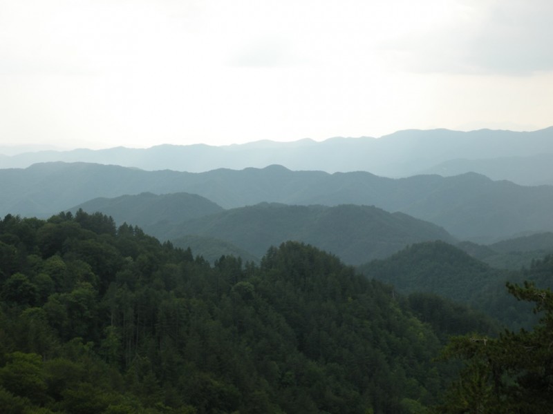 DSCN9950.JPG